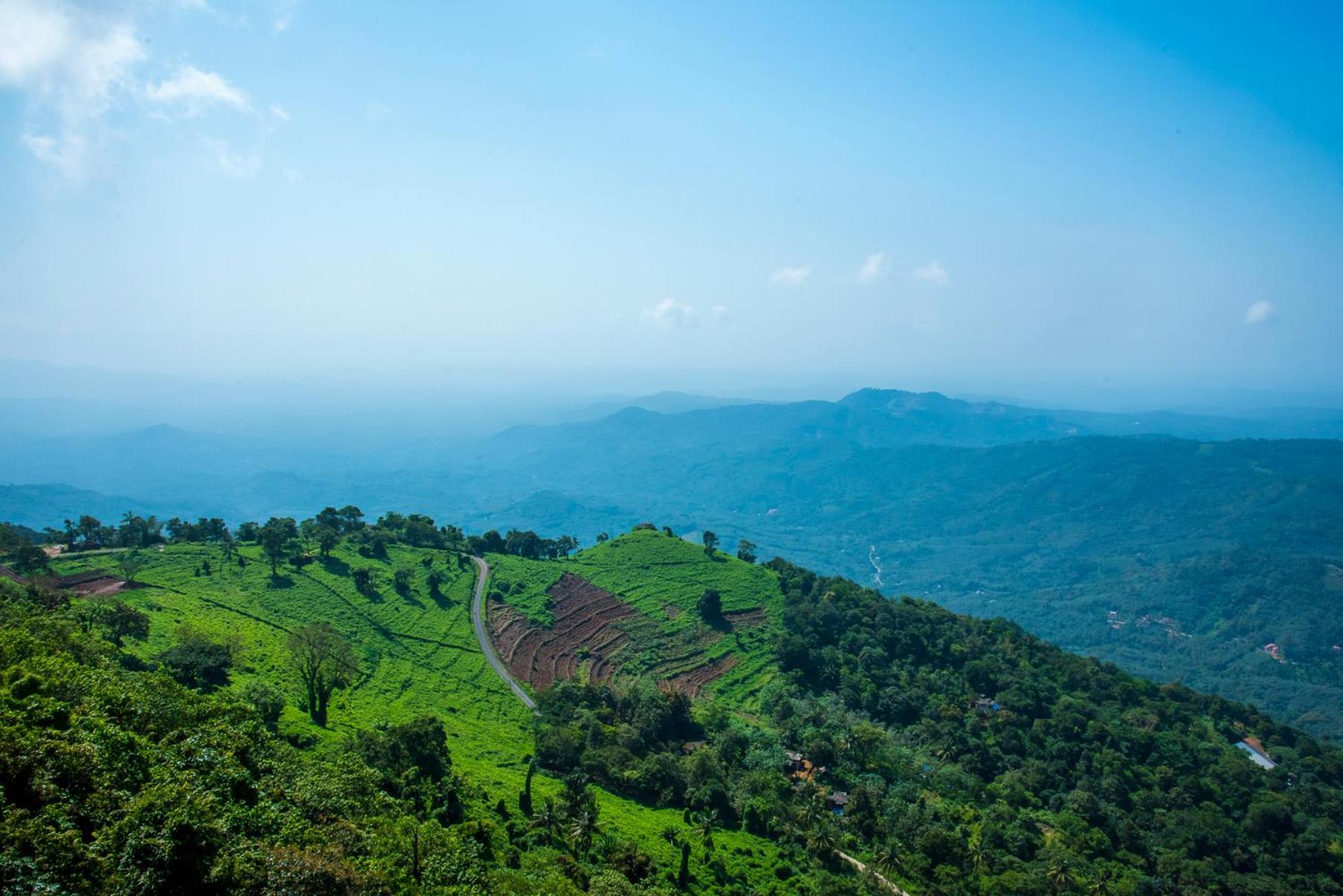 Chillax Resorts Palakkayam Thattu Paithalmala Экстерьер фото