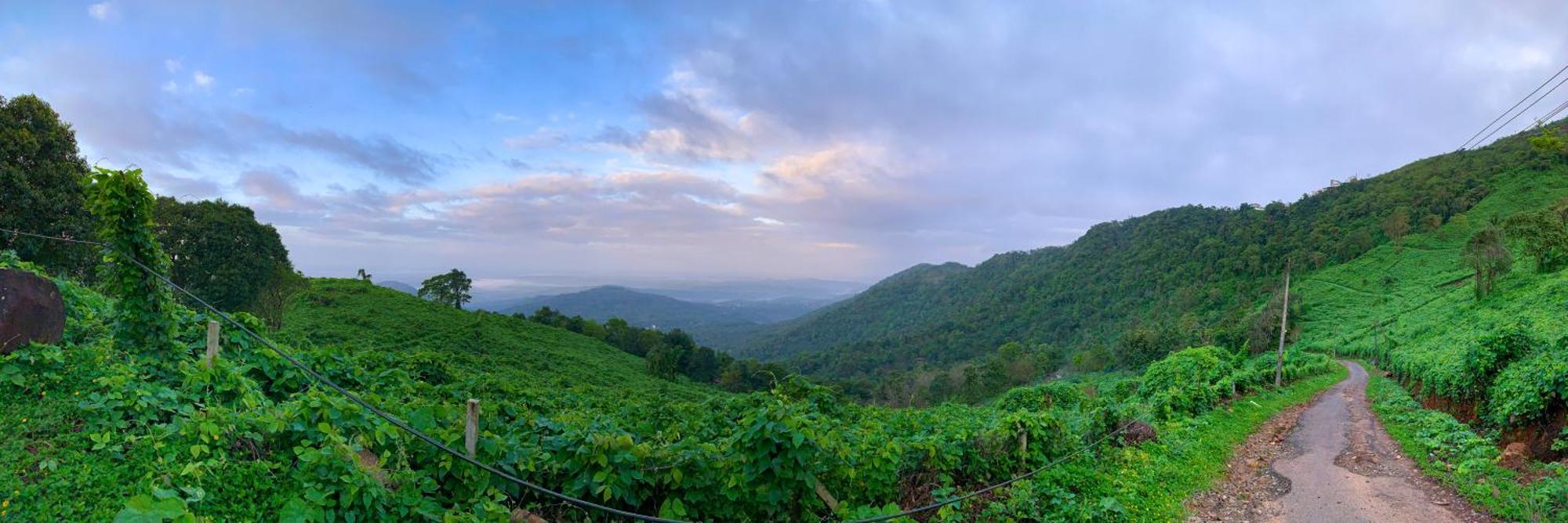 Chillax Resorts Palakkayam Thattu Paithalmala Экстерьер фото
